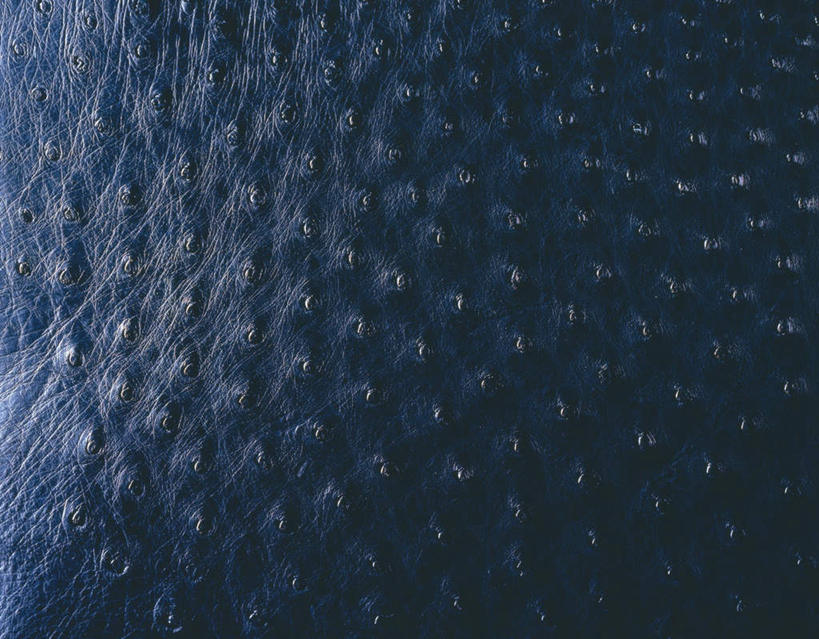 无人,横图,俯视,室内,特写,白天,静物,纺织品,阴影,条纹,反射,纹路,纹理,影子,斑点,皮,织物,布纹,纺织,黑色,摄影,影棚,鸵鸟皮,彩图,高角度拍摄,影棚拍摄,拍摄