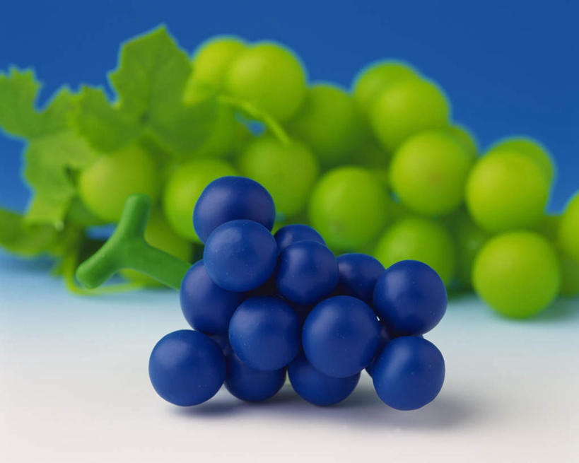 无人,横图,室内,白天,正面,餐桌,桌子,葡萄,水果,蓝色背景,新鲜,生食,食品,果实,两串,食物,绿色,紫色,摄影,有机食品,绿色食品,影棚,餐台,山葫芦,蒲桃,草龙珠,彩图,影棚拍摄,拍摄
