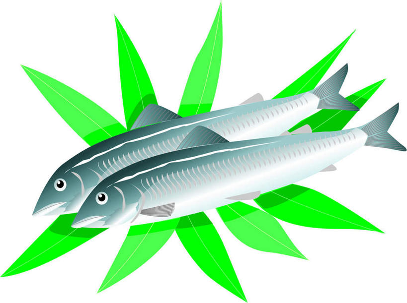 无人,横图,插画,室内,白天,白色背景,侧面,数码,科技,叶子,两条,阴影,网络,鱼,绿叶,香鱼,高光,几何,计算机图形,合成,图画,鱼类,海洋生物,画,绿色,白色,嫩叶,电脑合成图,数码合成图,水生动物,水生物,漫画,海底动物,写实,具体,具象,瓜鱼,香油鱼,叶,叶片,彩图,全身