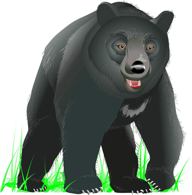 无人,站,竖图,插画,室内,白天,正面,数码,科技,草地,草坪,植物,野生动物,熊,黑熊,阴影,网络,高光,几何,计算机图形,合成,图画,注视,画,草,一只,绿色,黑色,动物,观察,看,站着,观看,电脑合成图,数码合成图,察看,关注,凶猛,漫画,写实,具体,具象,黑瞎子,熊瞎子,残暴,凶残,站立,彩图,全身