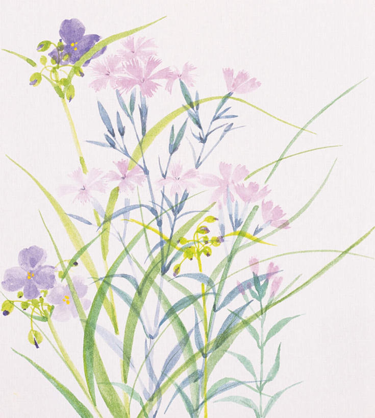 无人,竖图,插画,室内,白天,白色背景,正面,绘画,数码,科技,植物,叶子,许多,阴影,艺术,盛开,网络,绿叶,高光,几何,计算机图形,古典,合成,图画,文化,画,花,花瓣,花朵,花卉,鲜花,花蕊,品味,嫩叶,美术,电脑合成图,数码合成图,高雅,草本,漫画,写实,具体,具象,美学,鸭拓草,叶,叶片,彩图