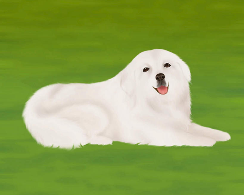 无人,横图,插画,室内,白天,侧面,数码,科技,草地,草坪,植物,宠物,狗,绿色背景,阴影,网络,高光,几何,计算机图形,合成,图画,注视,画,草,一只,绿色,白色,动物,观察,看,趴着,可爱,摄影,影棚,观看,电脑合成图,数码合成图,察看,关注,漫画,萨摩耶,忠诚,写实,具体,具象,犬,趴,彩图,全身,影棚拍摄,拍摄