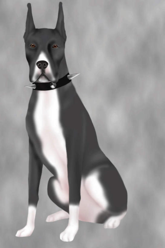 无人,坐,竖图,黑白,插画,室内,白天,白色背景,正面,数码,科技,宠物,狗,阴影,网络,高光,几何,计算机图形,合成,图画,注视,画,一只,动物,观察,看,可爱,观看,拳师犬,电脑合成图,数码合成图,察看,关注,漫画,忠诚,写实,具体,具象,犬,坐着,全身