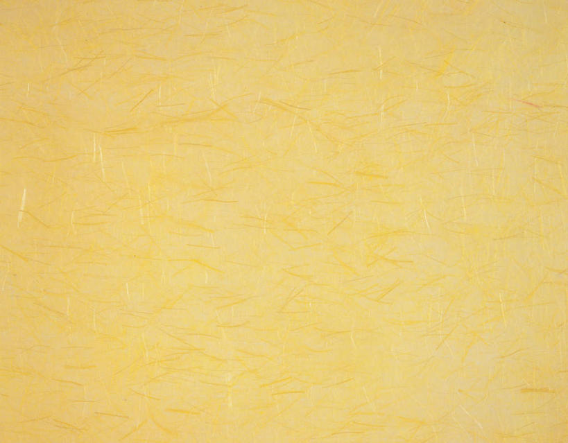 无人,横图,室内,特写,白天,正面,静物,花纹,条纹,日本文化,纹路,纹理,纸,纸张,文化,黄色,摄影,影棚,丝线,肌理,和纸,日本纸,彩图,影棚拍摄,拍摄,传统文化