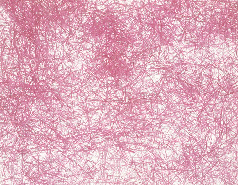 无人,横图,室内,特写,白天,正面,静物,花纹,条纹,日本文化,纹路,纹理,纸,纸张,文化,粉色,摄影,影棚,丝线,肌理,和纸,日本纸,彩图,影棚拍摄,拍摄,传统文化