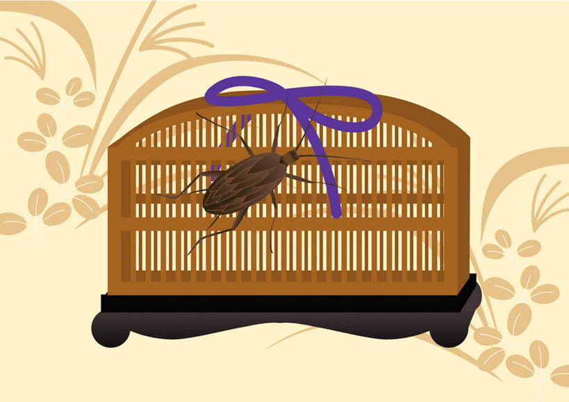 无人,横图,插画,室内,白天,正面,数码,科技,草地,草坪,植物,日本,亚洲,阴影,网络,昆虫,丝绸,丝带,笼子,高光,几何,计算机图形,合成,图画,文化,绸带,画,草,一个,一只,绿色,动物,蟋蟀,日式,单个,电脑合成图,数码合成图,漫画,益虫,蛐蛐,东亚,日本国,写实,具体,具象,彩图,全身