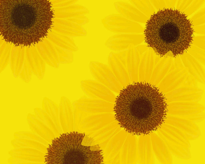 无人,横图,插画,室内,特写,白天,正面,数码,科技,四朵,阴影,黄色背景,盛开,网络,高光,几何,计算机图形,合成,花蕾,图画,画,花,花瓣,花朵,鲜花,黄色,花苞,花蕊,菊花,电脑合成图,数码合成图,漫画,金光菊,写实,具体,具象,臭菊,黑眼菊,彩图