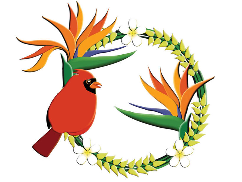 无人,横图,插画,室内,白天,白色背景,正面,幸福,纯洁,数码,科技,鹤望兰,樱花,鸟,五朵,许多,阴影,盛开,网络,鸟类,高光,几何,计算机图形,合成,花蕾,图画,画,花,花瓣,花朵,鲜花,花苞,花蕊,等待,电脑合成图,数码合成图,高雅,生命,清新,漫画,写实,具体,具象,仙樱花,福岛樱,青肤樱,高尚,热烈,向蜜鸟,蜜鴷,极乐鸟花,天堂鸟,荆桃,彩图,全身