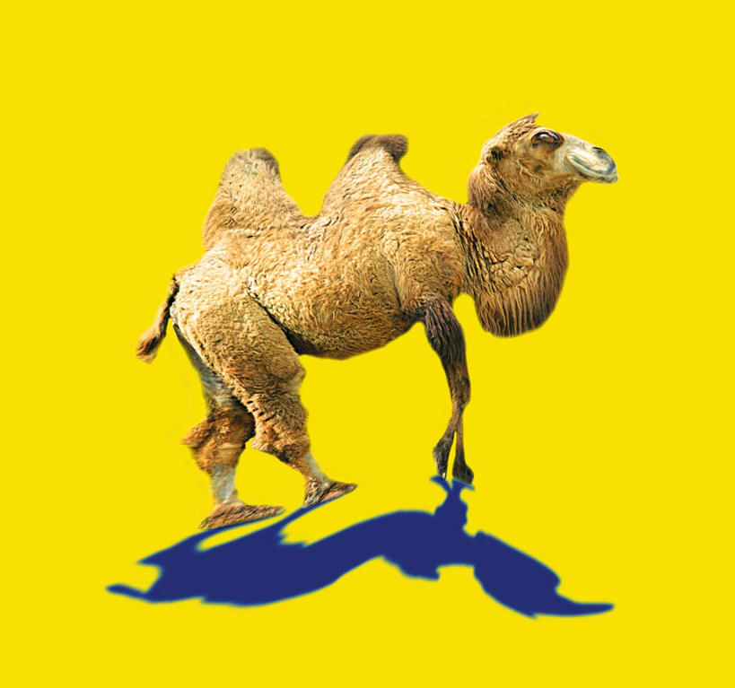 无人,横图,室内,特写,白天,正面,数码,科技,阴影,黄色背景,网络,高光,几何,计算机图形,合成,注视,骆驼,一只,动物,观察,看,可爱,运输,活泼,观看,电脑合成图,数码合成图,察看,关注,沙漠之舟,写实,具体,具象,双峰骆驼,彩图,全身