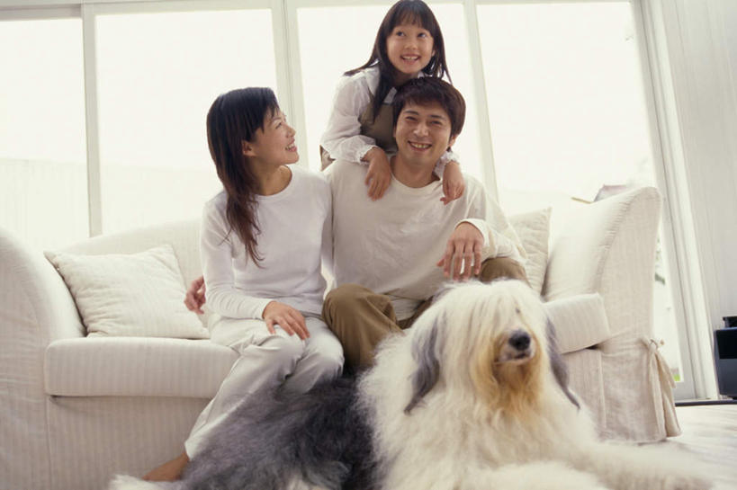 东方人,儿童,三个人,家庭,夫妻,母亲,父亲,女儿,站,坐,抱,笑,微笑,露齿笑,横图,室内,白天,仰视,爱情,纯洁,窗户,沙发,宠物,狗,亚洲,服装,浪漫,注视,休闲装,黄种人,玻璃窗,小孩,衣服,动物,观察,看,站着,休闲,温暖,温馨,父女,母女,三口之家,一家人,休闲服,恩爱,父爱,可爱,母爱,童年,童趣,恋人,服饰,牧羊犬,抱着,观看,和睦,察看,搂着,关注,布艺沙发,童真,烂漫,无邪,忠诚,古代牧羊犬,古牧,截尾犬,英国古代牧羊犬,天真,男人,男性,年轻男性,年轻女性,女孩,女人,女性,亚洲人,孩子,年轻人,夫妇,情侣,犬,怀抱,搂,搂抱,相抱,拥抱,站立,坐着,彩图,低角度拍摄,全身,伴侣,融洽,女生