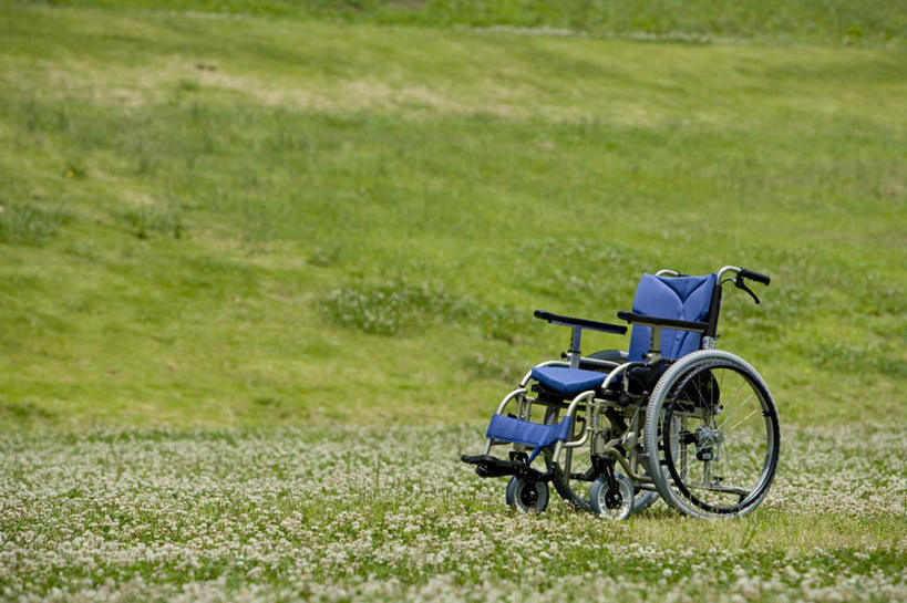 无人,横图,室外,特写,白天,正面,草地,草坪,植物,静物,一辆,工具,坐垫,草,蓝色,绿色,轮椅,垫子,器械,医疗器械,辅助设备,软垫,彩图