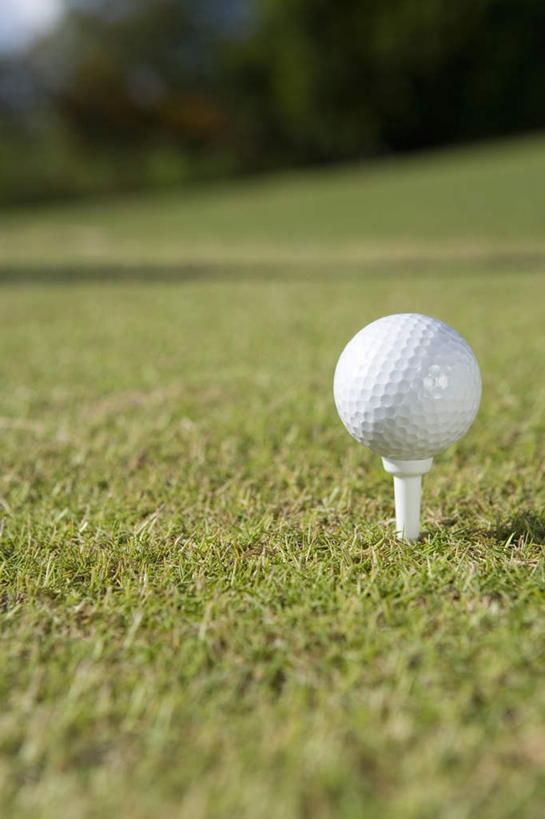 无人,竖图,室外,特写,白天,正面,锻炼,运动,草地,草坪,植物,朦胧,模糊,高尔夫,高尔夫球,球场,高尔夫球场,草,树,树木,一个,绿色,自然,球托,生长,单个,成长,绿茵场,高尔夫运动,高尔夫球具,体育,彩图,健身