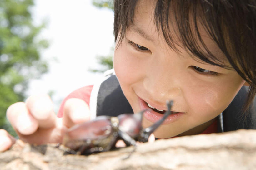 东方人,儿童,脸,头,脸颊,手,一个人,摸,横图,室外,特写,白天,正面,旅游,度假,纯洁,植物,亚洲,仅一个男性,仅一个人,抚摸,服装,朦胧,模糊,昆虫,独角仙,注视,休闲装,黄种人,娱乐,树,树木,一只,小孩,衣服,绿色,自然,动物,观察,看,仅一个小孩,享受,休闲,手部,休闲服,放松,可爱,童年,童趣,服饰,生长,成长,观看,察看,关注,益虫,童真,烂漫,无邪,双叉犀金龟,天真,男孩,男人,男性,亚洲人,孩子,头部,脸部,脸蛋,面部,触摸,接触,半身,彩图,男生