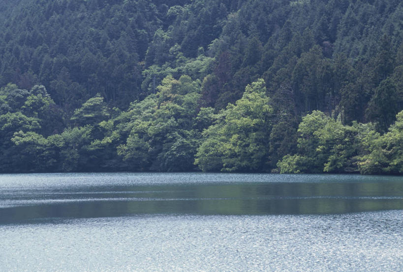 无人,横图,室外,白天,正面,旅游,度假,湖,湖泊,美景,森林,树林,水,植物,日本,亚洲,阴影,波纹,光线,影子,湖面,景观,水流,水面,涟漪,娱乐,树,树木,绿色,倒影,水纹,阳光,自然,波浪,湖水,享受,休闲,景色,放松,生长,成长,倒映,自然风光,东亚,日本国,九州本岛,九州,九州岛,九州地方,水晕,熊本,熊本县,反照,彩图,阿苏郡