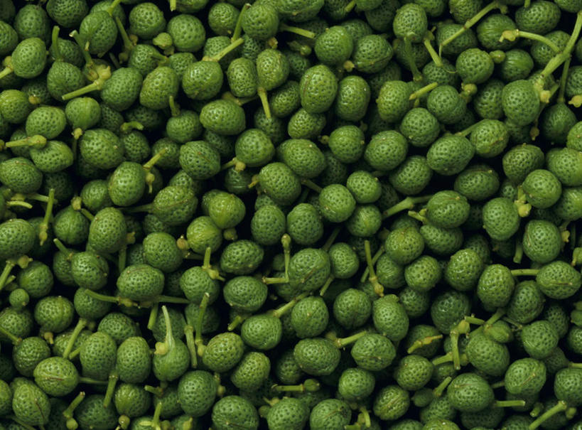 无人,横图,俯视,室内,特写,白天,蔬菜,一堆,许多,堆叠,堆积,新鲜,调味,香料,佐料,食品,食物,绿色,摄影,有机食品,绿色食品,影棚,堆,花椒,配料,作料,香椒子,彩图,高角度拍摄,影棚拍摄,拍摄