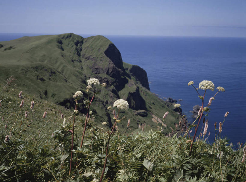 无人,横图,俯视,室外,白天,爱情,旅游,度假,草地,草坪,海浪,海洋,美景,山,山脉,植物,蒲公英,叶子,北海道,日本,亚洲,许多,盛开,景观,浪花,山峰,水平线,辽阔,绿叶,海平线,山峦,娱乐,草,花,花瓣,花朵,花卉,鲜花,蓝色,绿色,白色,蓝天,天空,自然,海水,群山,天,花蕊,享受,休闲,广阔,嫩叶,景色,放松,晴朗,一望无际,青葙,自然风光,海景,东亚,万里无云,日本国,北海道地方,北海道岛,鸡冠苋,昆仑草,萋蒿,野鸡冠,开朗,无边无际,一马平川,叶,叶片,大海,风浪,海,海水的波动,近岸浪,涌浪,晴空,晴空万里,蒲公草,尿床草,彩图,高角度拍摄,水天相接,水天一线