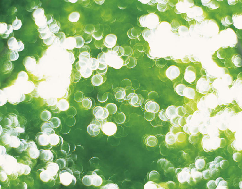 无人,横图,室外,白天,仰视,叶子,圆形,斑点,绿叶,照射,绿色,闪耀,嫩叶,刺眼,耀眼,闪烁,闪动,闪灼,叶,叶片,彩图,低角度拍摄,夺目