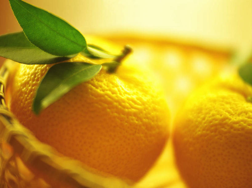 无人,横图,俯视,室内,特写,白天,柑橘,水果,叶子,阴影,朦胧,模糊,新鲜,光线,篮子,影子,生食,食品,果实,绿叶,食物,两个,黄色,阳光,嫩叶,有机食品,绿色食品,叶,叶片,橘子,桔子,橙子,橙,彩图,高角度拍摄