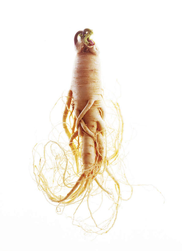 无人,竖图,俯视,室内,特写,白天,白色背景,植物,桌面,桌子,人参,静物,阴影,反射,木制,影子,草药,药草,中药,一个,黄色,木制品,摄影,影棚,单个,药材,中草药,中药材,本草,参,彩图,高角度拍摄,影棚拍摄,拍摄