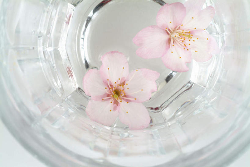 无人,横图,俯视,室内,特写,白天,旅游,度假,幸福,纯洁,美景,餐桌,桌子,樱花,玻璃,盛开,景观,花蕾,娱乐,玻璃制品,花,花瓣,花朵,鲜花,两朵,白色,自然,碗,花苞,花蕊,享受,休闲,景色,放松,餐台,等待,生命,自然风光,仙樱花,福岛樱,青肤樱,高尚,热烈,荆桃,彩图,高角度拍摄