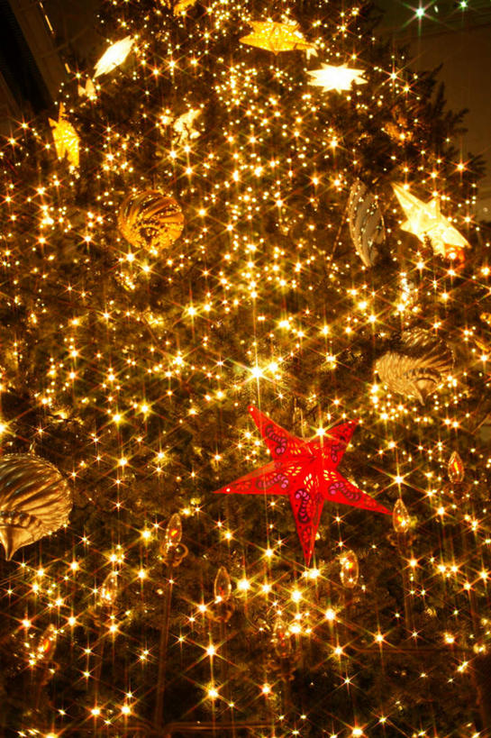 无人,竖图,室内,夜晚,正面,霓虹灯,夜景,装饰,灯光,七彩,光源,霓虹,灯,华丽,修饰,点缀,照明设备,氖灯,衬托,美观,雅致,雅观,彩图