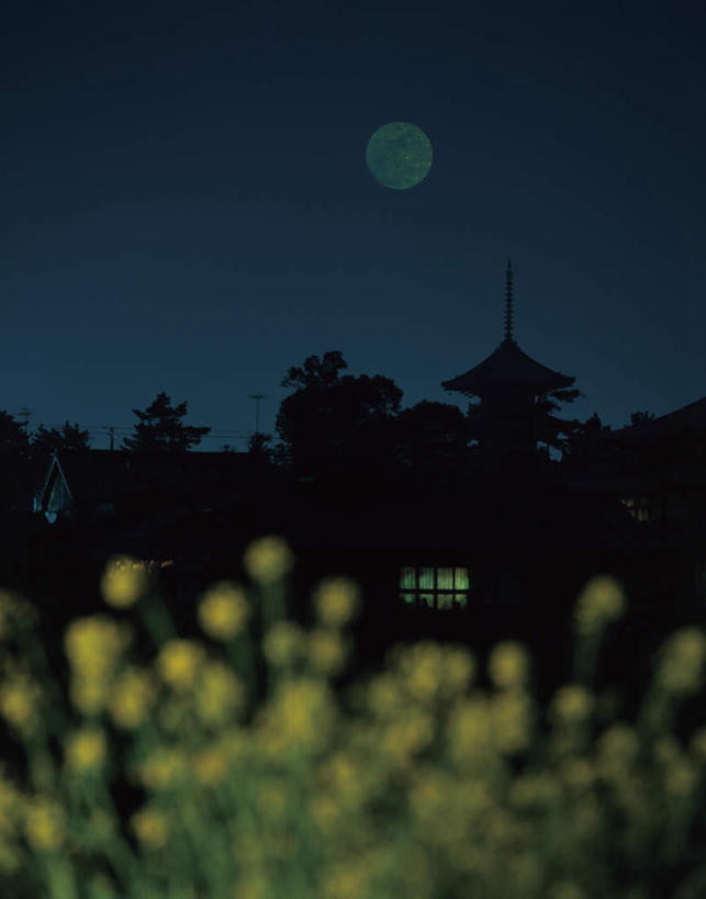 无人,家,竖图,室外,夜晚,正面,旅游,度假,美景,日本,亚洲,盛开,房屋,屋子,景观,花蕾,娱乐,楼房,住宅,花,花瓣,花朵,鲜花,黄色,蓝色,蓝天,天空,自然,天,花苞,花蕊,油菜花,享受,休闲,景色,放松,自然风光,东亚,日本国,四国地方,四国,四国岛,香川,香川县,彩图,房子,芸苔,芸薹