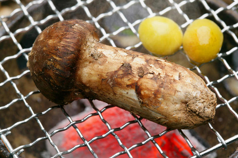 无人,横图,俯视,室内,特写,白天,烧烤,蔬菜,火,新鲜,火苗,菌菇,蘑菇,食品,坚果,烤架,烤肉,菌类,食物,三个,黄色,红色,干果,铁架,食用菌,摄影,有机食品,绿色食品,影棚,银杏,白果,彩图,高角度拍摄,影棚拍摄,拍摄