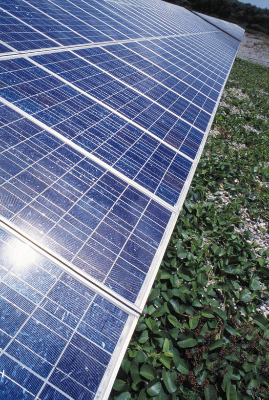 无人,竖图,室外,特写,白天,正面,太阳能,草地,草坪,植物,环保,草,绿色,新能源,能源,回收,资源,利用,低碳,循环,电池板,持续,彩图