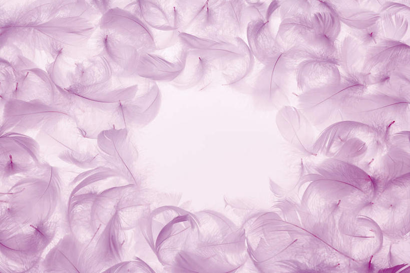 无人,横图,室内,特写,白天,正面,静物,羽毛,许多,轻盈,柔软,圆形,紫色,摄影,影棚,轻柔,彩图,影棚拍摄,拍摄