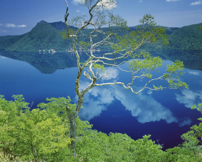 无人,横图,室外,白天,正面,旅游,度假,湖,湖泊,美景,森林,山,山脉,树林,水,植物,北海道,日本,亚洲,阴影,反射,影子,湖面,景观,山峰,水流,水面,云,云朵,山峦,云彩,娱乐,树,树木,蓝色,绿色,白云,蓝天,天空,自然,湖水,群山,天,享受,休闲,景色,放松,生长,晴朗,成长,自然风光,东亚,日本国,北海道地方,北海道岛,摩周湖,晴空,彩图