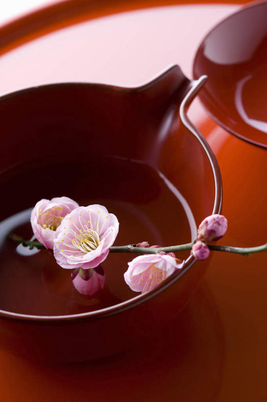 清酒,无人,竖图,俯视,室内,特写,白天,桌面,桌子,餐具,许多,盛开,木制,碟子,盘,陶瓷,梅花,茶碗,陶瓷制品,酒类,花蕾,酒,酒瓶,花,花瓣,花朵,鲜花,饮料,一个,粉色,盘子,茶具,木制品,瓶子,碟,碗,花茶,花苞,花蕊,摄影,影棚,单个,高雅,坚强,梅,彩图,高角度拍摄,影棚拍摄,拍摄,清酒瓶