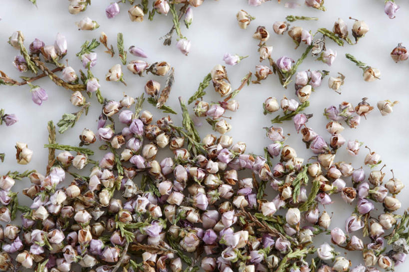 无人,横图,俯视,室内,特写,白天,白色背景,茶,桌面,桌子,阴影,盛开,反射,木制,影子,茶叶,花蕾,花,花瓣,花朵,鲜花,紫色,木制品,花茶,花苞,花蕊,摄影,影棚,花草茶,庄重,威严,扇骨木,石南,石南花,石楠,石楠花,香花茶,香片,熏花茶,孤独,彩图,高角度拍摄,影棚拍摄,拍摄