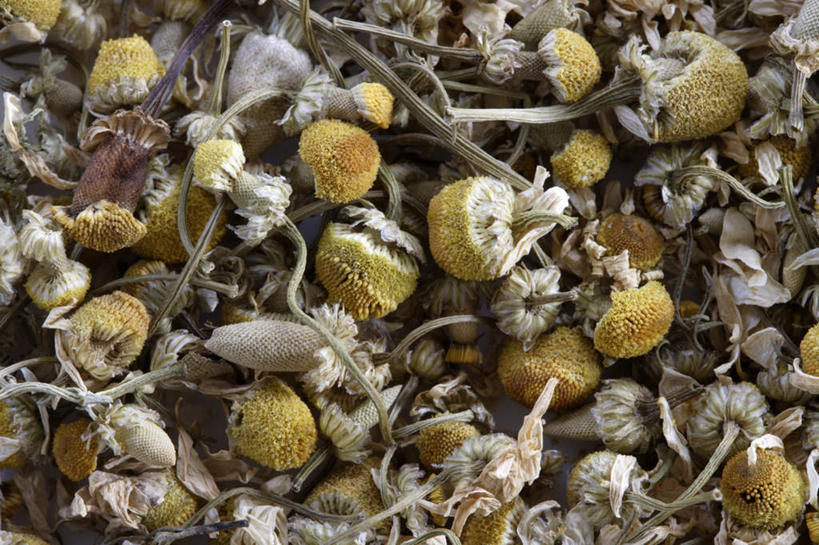 无人,横图,俯视,室内,特写,白天,茶,静物,一堆,许多,堆叠,堆积,茶叶,洋甘菊,花茶,活力,力量,摄影,影棚,堆,花草茶,坚强,交往,母菊,香花茶,香片,熏花茶,和好,彩图,高角度拍摄,影棚拍摄,拍摄