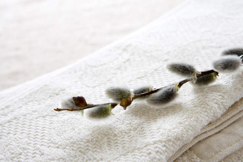 无人,横图,俯视,室内,特写,白天,自由,朦胧,模糊,纺织物,猫柳,毛巾,清洁,摄影,影棚,保暖,一支,生命,透气,防水,银芽柳,棉花柳,银柳,储水,耐磨,吸水,彩图,高角度拍摄,影棚拍摄,拍摄