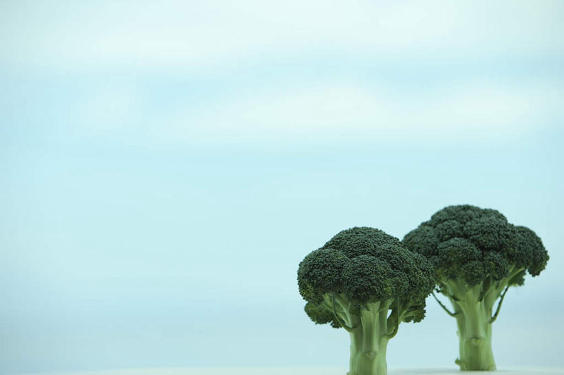 无人,横图,室外,特写,白天,正面,旅游,度假,美景,蔬菜,两棵,新鲜,景观,云,云朵,花菜,花椰菜,西兰花,食品,云彩,娱乐,食物,蓝色,白云,蓝天,天空,自然,天,享受,休闲,景色,放松,有机食品,绿色食品,自然风光,彩图