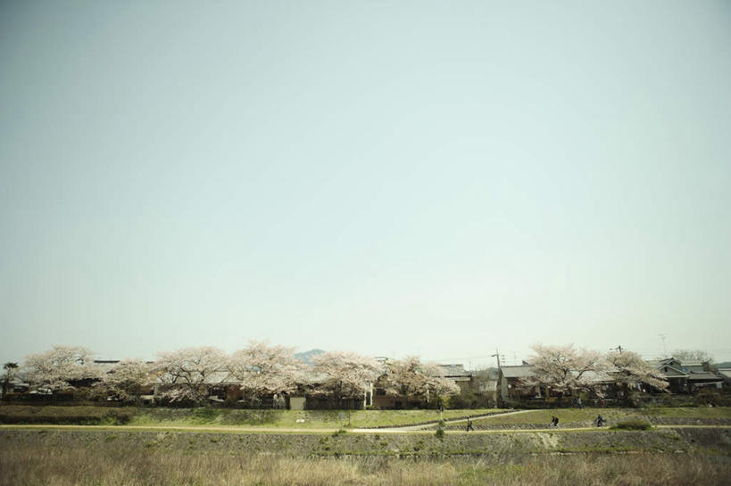 无人,家,横图,俯视,室外,白天,旅游,度假,幸福,纯洁,草地,草坪,美景,植物,别墅,城市风光,城市,建筑,樱花,京都,日本,亚洲,电力,钢材,电缆,电线,支架,房屋,屋子,景观,公寓,建筑群,娱乐,建设,洋房,楼房,住宅,草,树,树木,粉色,蓝色,绿色,蓝天,天空,自然,天,享受,休闲,景色,放松,京都府,生长,能源,成长,等待,支撑,河堤,资源,生命,供电设备,东亚,高压输电线,本州,本州岛,日本国,近畿地方,近畿,仙樱花,福岛樱,青肤樱,高尚,高压塔,县厅,京都市,热烈,荆桃,彩图,高角度拍摄,房子