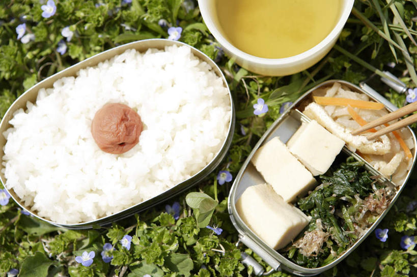 盒饭,米饭,豆腐,无人,横图,俯视,室外,特写,白天,草地,草坪,植物,筷子,蔬菜,餐具,三块,许多,新鲜,盛开,便当,饭盒,肉,汤,食品,饭,一颗,花蕾,文化,传统,肉丝,酸梅,肉类,草,花,花瓣,花朵,鲜花,食物,两个,一个,蓝色,绿色,碗,花苞,花蕊,便捷,有机食品,绿色食品,单个,礼节,五谷,便利,礼仪,肉食,快捷,弁当,进餐用具,烹调用具,彩图,高角度拍摄