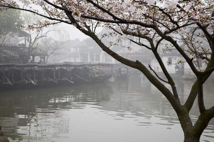 无人,家,横图,室外,白天,正面,旅游,度假,幸福,纯洁,河流,美景,名胜古迹,水,植物,雾,标志建筑,地标,建筑,船,樱花,照明,中国,亚洲,朦胧,模糊,遗迹,灯笼,纸灯笼,房屋,屋子,河水,景观,水流,木船,樱花树,古迹,文物,娱乐,建设,古建筑,楼房,住宅,树,树木,杨柳,绿色,天空,自然,灯具,交通工具,天,享受,休闲,旅游胜地,景色,放松,生长,成长,等待,照亮,迷雾,舟,生命,照明设备,自然风光,古文明,东亚,灯笼草,天泡子,打卜草,打额泡,天泡草,王母珠,小酸浆,万里无云,中华人民共和国,仙樱花,福岛樱,青肤樱,高尚,热烈,大雾,荆桃,彩图,房子