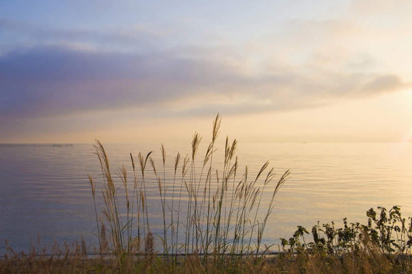 无人,横图,室外,白天,正面,旅游,度假,农作物,小麦,草地,草坪,湖,湖泊,美景,秋季,日落,水,植物,日本,亚洲,湖面,景观,水流,水面,晚霞,霞光,云,云朵,谷物,云彩,娱乐,草,黄色,蓝色,蓝天,天空,自然,黄昏,湖水,天,享受,休闲,稻谷,稻子,景色,彩霞,放松,麦子,自然风光,东亚,本州,本州岛,日本国,近畿地方,近畿,滋贺,滋贺县,琵琶湖,秋,秋天,夕阳,彩图