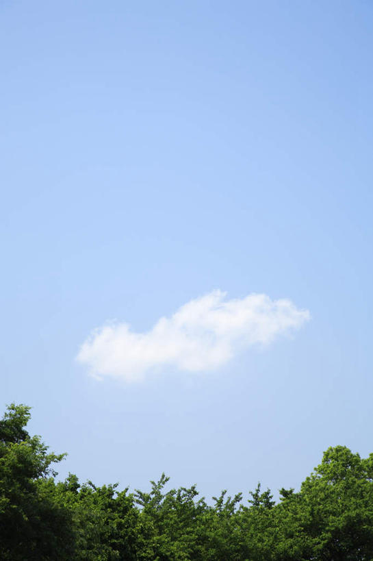 无人,竖图,室外,白天,仰视,旅游,度假,美景,植物,阴影,光线,影子,景观,云,云朵,云彩,娱乐,树,树木,蓝色,绿色,白云,蓝天,天空,阳光,自然,天,享受,休闲,景色,放松,生长,晴朗,成长,自然风光,晴空,彩图,低角度拍摄