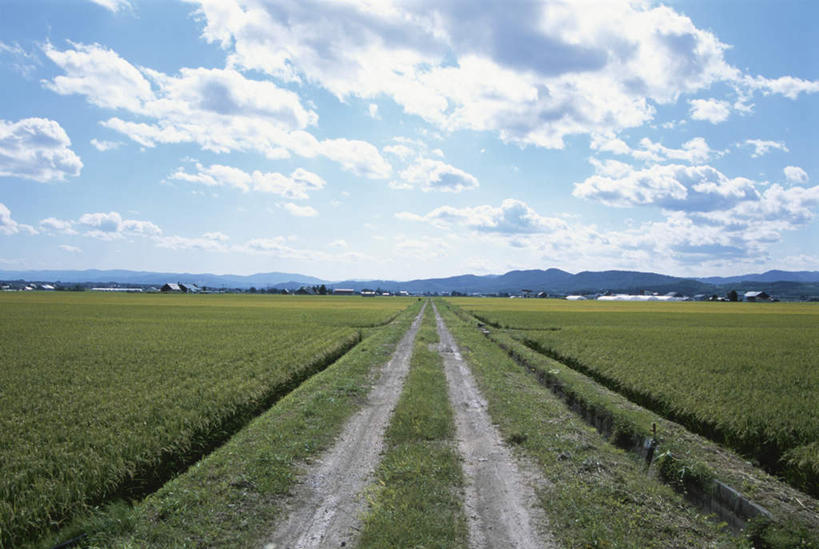 无人,家,菜园,农田,横图,室外,白天,正面,旅游,度假,庄稼,农作物,美景,山,山脉,田园,道路,建筑,路,阴影,光线,暖棚,影子,房屋,屋子,景观,山峰,云,云朵,小路,交通,山峦,云彩,娱乐,建设,楼房,住宅,蓝色,白云,蓝天,天空,阳光,自然,群山,天,享受,休闲,景色,放松,乡间小路,晴朗,自然风光,菜棚,田庄,晴空,彩图,耕地,庄稼田,房子