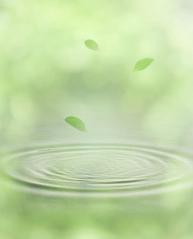 无人,竖图,室内,白天,正面,数码,科技,水,叶子,阴影,波纹,朦胧,模糊,飘扬,网络,液体,水滴,绿叶,涟漪,三片,高光,几何,计算机图形,飘落,合成,水纹,波浪,嫩叶,波光粼粼,电脑合成图,数码合成图,水晕,写实,具体,具象,浮荡,漂荡,飘零,叶,叶片,彩图,飘荡
