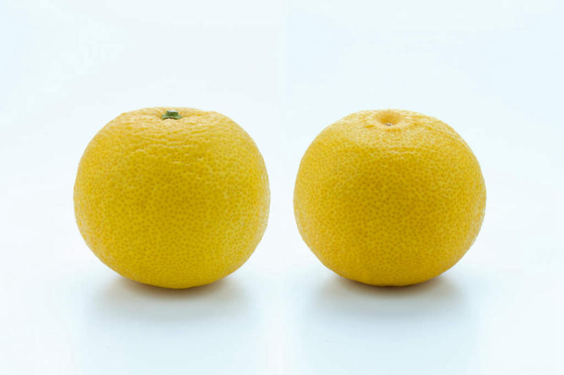 无人,横图,室内,白天,白色背景,正面,柑橘,水果,新鲜,生食,食品,果实,食物,两个,橙色,摄影,有机食品,绿色食品,影棚,橘子,桔子,橙子,橙,彩图,影棚拍摄,拍摄