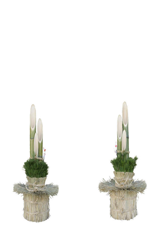 无人,竖图,室内,特写,白天,白色背景,正面,蔬菜,阴影,新鲜,装饰,反射,影子,竹笋,食品,两盆,笋,食物,两个,摄影,有机食品,绿色食品,影棚,华丽,修饰,点缀,门松,衬托,美观,雅致,雅观,长寿,彩图,影棚拍摄,拍摄