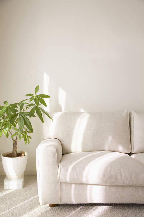 无人,家,客厅,竖图,室内,特写,白天,正面,植物,别墅,家具,沙发,装修,建筑,欧式,阴影,装饰,光线,盆栽,影子,房屋,墙,屋子,公寓,盆景,豪华,建设,现代,装潢,洋房,楼房,墙壁,墙面,住宅,树,树木,绿色,自然,室内装潢,生长,成长,明亮,起居室,舒适,家居装潢,房屋设计,地中海风格,古典风格,简约风格,布艺沙发,室内设计,宽敞,样板房装潢,设计,彩图,房子