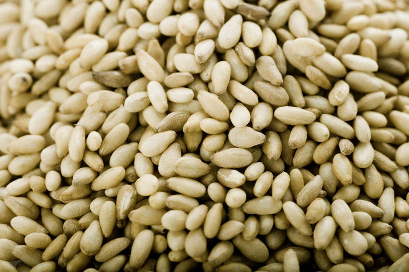 无人,横图,俯视,室内,特写,白天,餐桌,桌子,一堆,许多,堆叠,堆积,芝麻,摄影,影棚,餐台,堆,脂麻,胡麻,白麻,巨胜子,油麻,彩图,高角度拍摄,影棚拍摄,拍摄