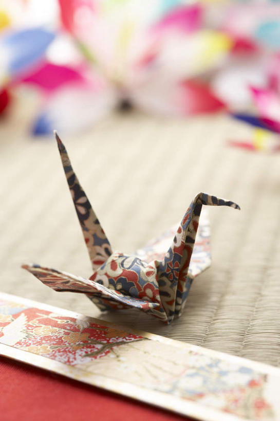 无人,竖图,俯视,室内,特写,白天,锻炼,运动,静物,朦胧,模糊,艺术,板羽球,折纸,纸艺,手工艺品,千纸鹤,文化,运动器械,一个,纸鹤,工艺品,健身器械,摄影,影棚,单个,毽子,高雅,健身器材,工艺折纸,自信心,品位,羽子板,毽球,花毽,鸡毛毽,打手毽,毽子板球,体育,彩图,高角度拍摄,影棚拍摄,健身,拍摄,运动器材