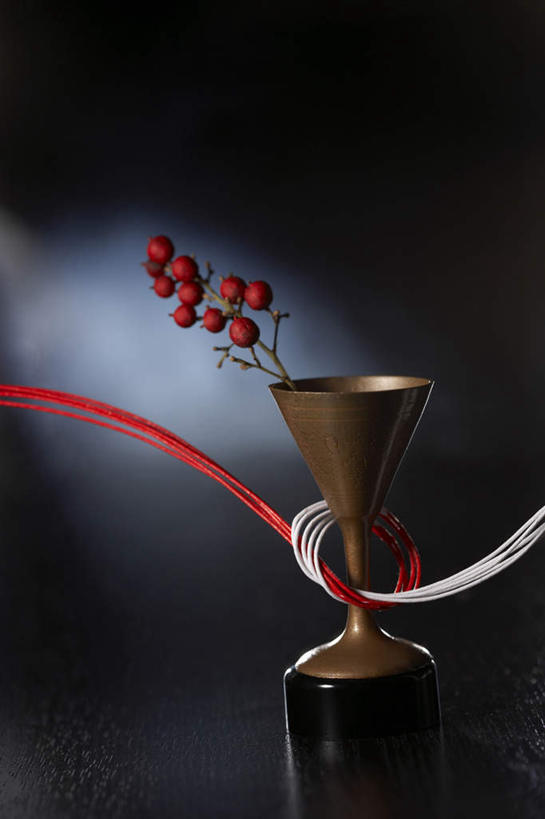 无人,竖图,室内,特写,白天,正面,浆果,杯子,水果,黑色背景,新鲜,艺术,木制,高脚杯,手工艺品,灯笼果,生食,食品,果实,红酒杯,艺术品,文化,食物,酒杯,木制品,工艺品,摄影,有机食品,绿色食品,影棚,高雅,红醋栗,自信心,品位,花纸绳,日本水引,日本水引绣,水引,水引绣,玻璃杯,醋栗,彩图,影棚拍摄,拍摄