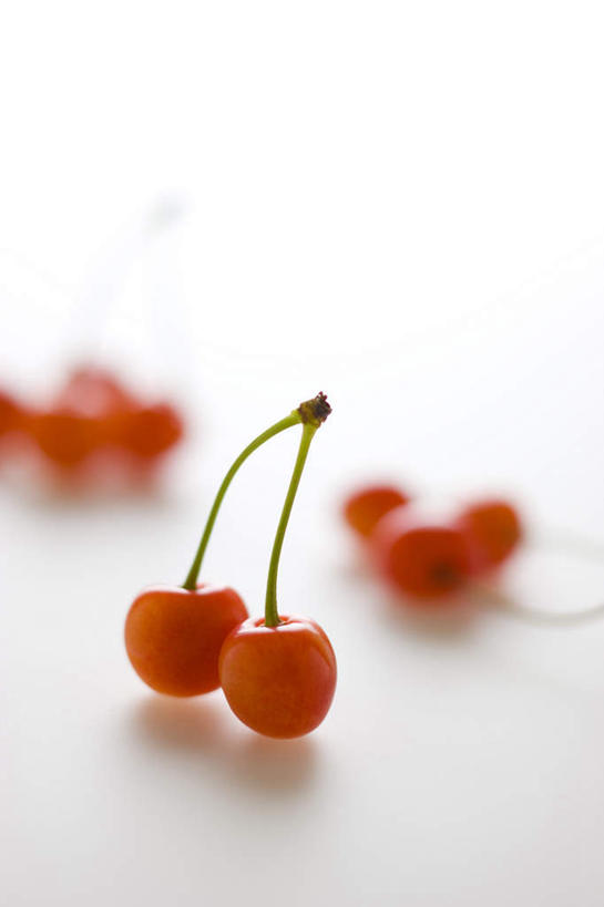 无人,竖图,俯视,室内,特写,白天,白色背景,樱桃,水果,许多,朦胧,模糊,新鲜,生食,食品,果实,食物,摄影,有机食品,绿色食品,影棚,樱珠,莺桃,英桃,楔桃,牛桃,荆桃,彩图,高角度拍摄,影棚拍摄,拍摄