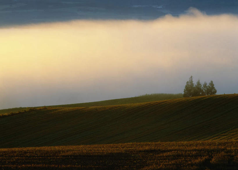 无人,横图,室外,白天,正面,旅游,度假,草地,草坪,美景,日落,树林,植物,北海道,日本,亚洲,朦胧,模糊,景观,晚霞,霞光,落日,娱乐,草,树,树木,绿色,自然,黄昏,享受,休闲,景色,彩霞,放松,生长,成长,自然风光,东亚,日本国,北海道地方,北海道岛,上富良野町,夕照,夕阳,彩图,斜阳,上川支厅